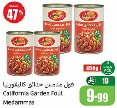 فول مدمس حدايق كاليفورنيا