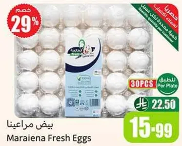 بيض مراعينا