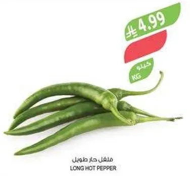 فلفل حار طويل