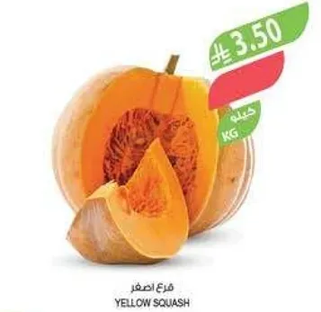 قرع اصفر، نوع من الخضار.