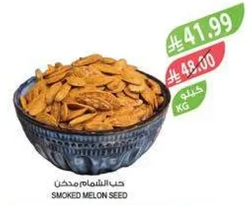 حب الشلغم مدخن