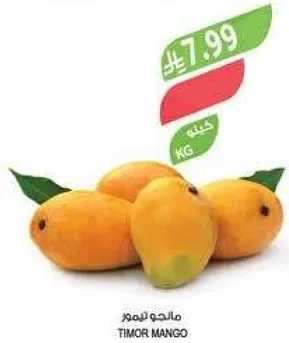 مانجو تيمور