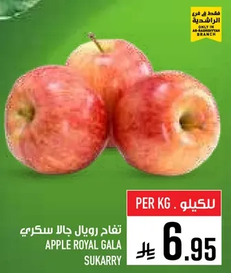 تفاح رويال جالا سكري.