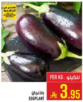 باذنجان