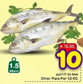 فضه بارا لكل 1.5 كجم