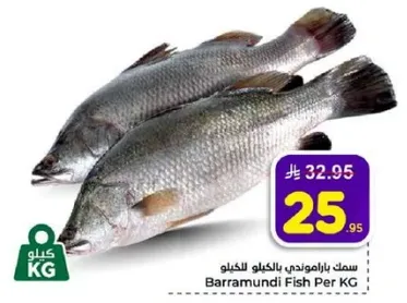 سمك باراموندي بالكيلو