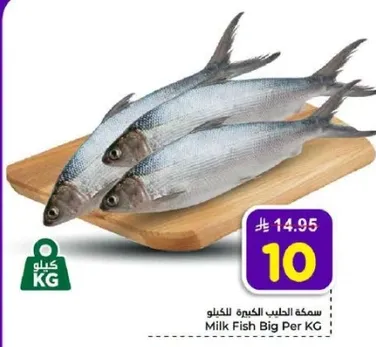 Milk Fish Big Per KG