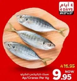 سمك كرانكس للخيل.