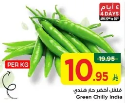 فلفل اخضر حار هندي