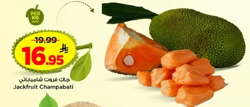 جاك فورت شامباتي