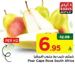 Pear Cape Rose South Africa