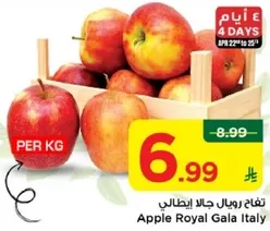 تفاح رويال جالا ايطالي