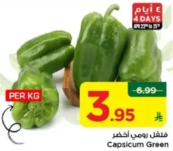 فلفل رومي اخضر