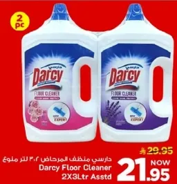 Darcy Floor Cleaner 2X3Ltr Assorted