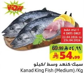 سمك كند وسط/كيلو