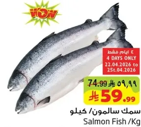 سمك سالمون/كيلو