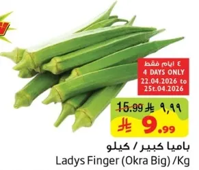 باميه كبيره / كيلو