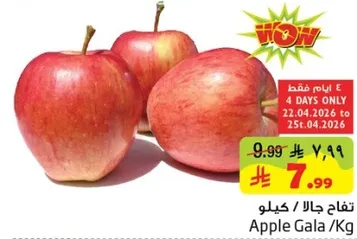 تفاح جالا / كيلو