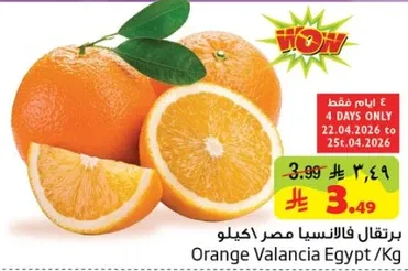 برتقال فالنسيا مصر اكيلو