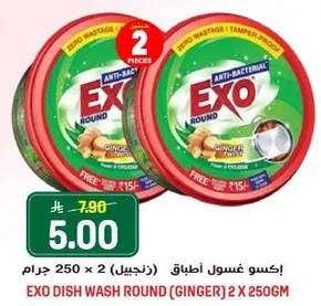 EXO DISH WASH ROUND (GINGER) 2 X 250GM