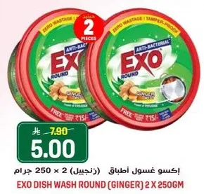 EXO DISH WASH ROUND (GINGER) 2 X 250GM