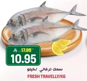 سمك ترفالي/كيلو