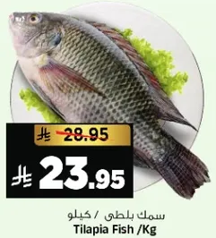 سمك بلطي / كيلو