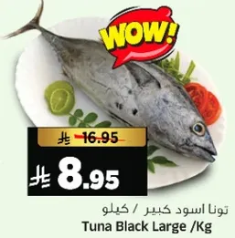 تونا اسود كبير