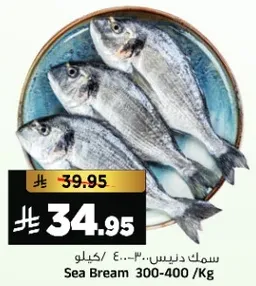 سمك دنيبس 300-400 كجم