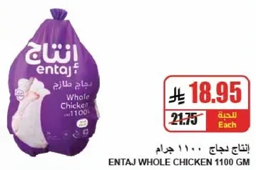 دجاج انتاج 1100 جرام