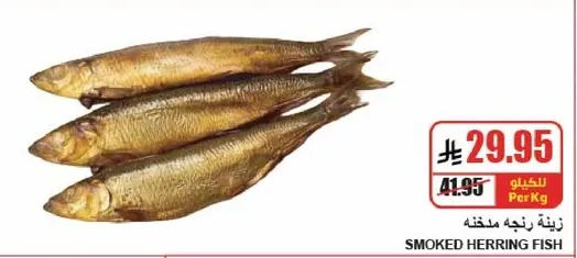 سمك الرنجه المدخن