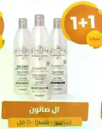 شامبو (بالم) - 500 مل