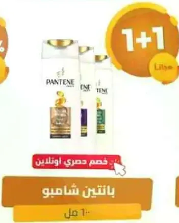بانتين شامبو