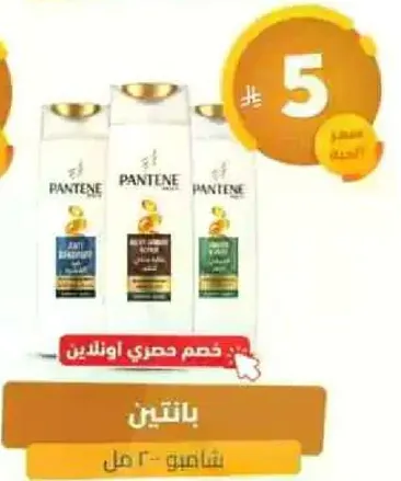 Pantene Shampoo 300 ml