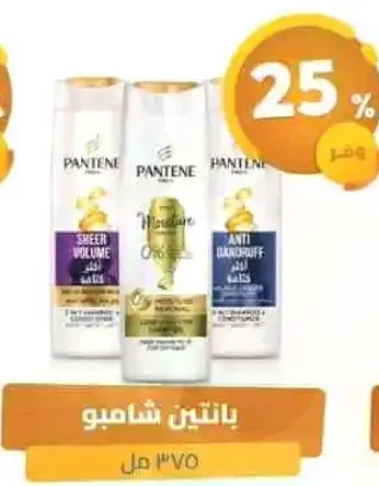 بانتين شامبو للشعر ذو حجم خفيف، ترطيب، ومضاد للقشره.