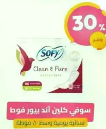 سوفي كلين اند بيور فوط نساييه يوميه وسط 80 قطعه.