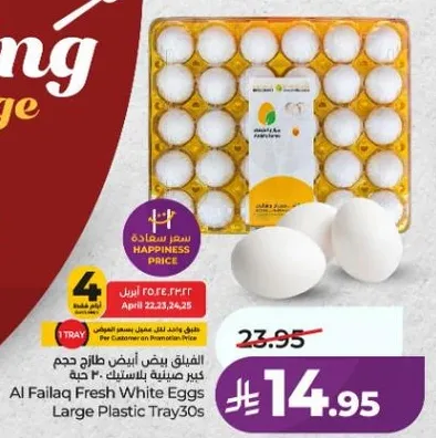 الفيلاق بيض ابيض حجم كبير مكون من البلاستيك 30 حبه