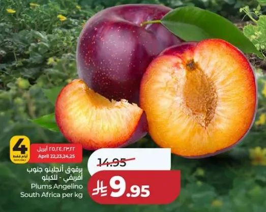 برقوق انجلينو جنوب افريقيا - الكيلو