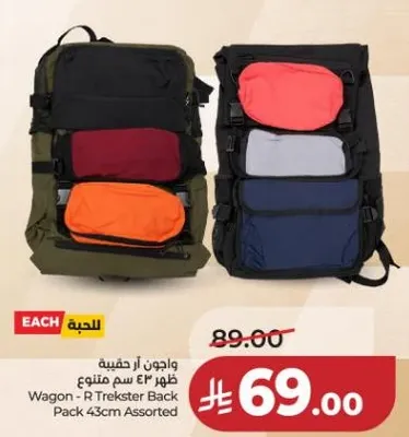 حقيبه ظهر 43 سم متنوعه