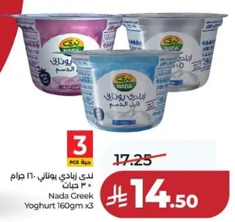 ندي زبادي يوناني ١٦٠ جرام × ٣ حبات
