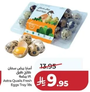 استرا بيض سمان طازج طبق 18 بيضه