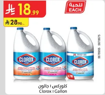 Clorox 1 Gallon