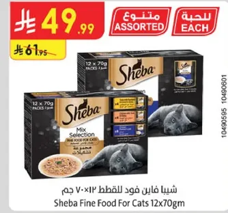 شيبيا فايق فود للقطط 12x70 جرام