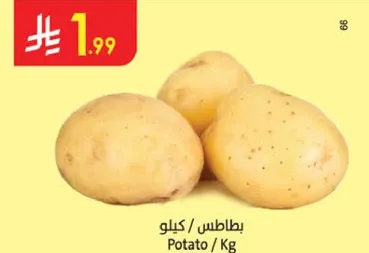 بطاطس / كيلو