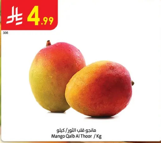 مانجو قلب الثور / كيلوجرام