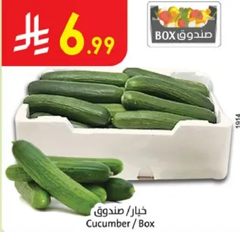 خيار / صندوق