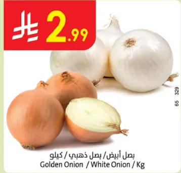 بصل ابيض / بصل ذهبي / كيلو