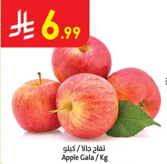 تفاح جالا / كيلو