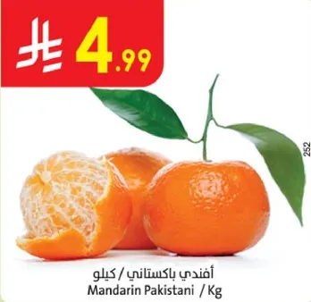 افندي باكستاني / كغ