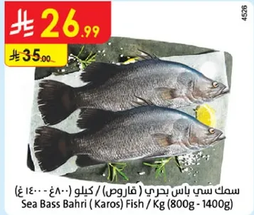 سمك نبي باس بحري (كاروس) / كيلو (800-1400 غ)